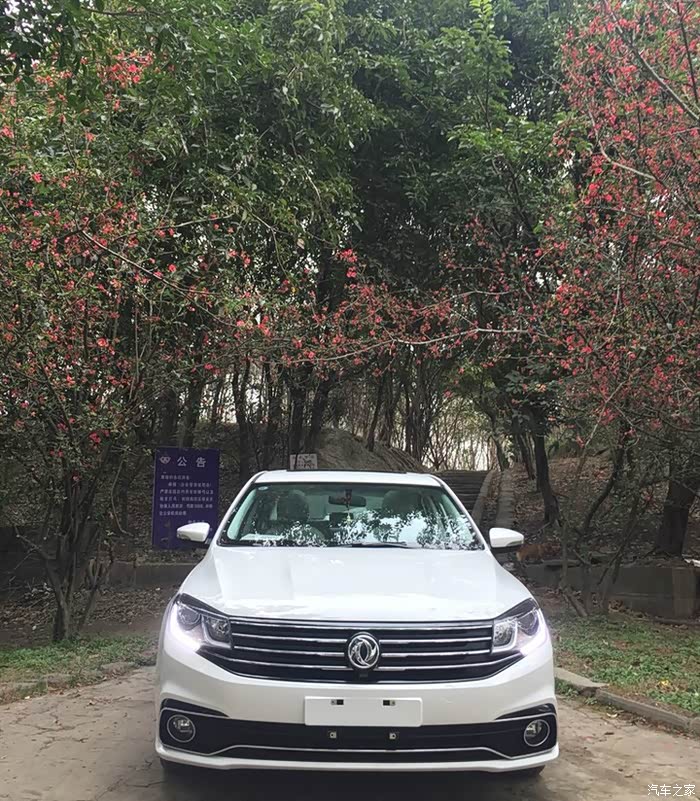 【图】我和我最后的倔强,终于等到你_景逸S5