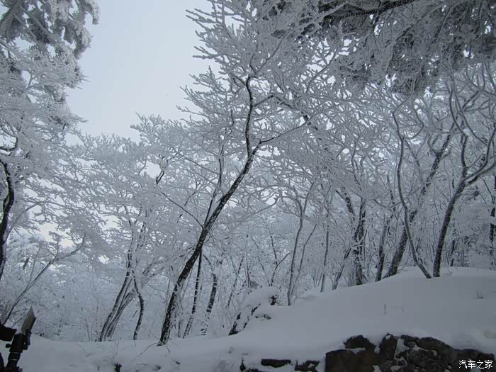 【图】黄山归来不看岳,古人诚不我欺也--瑞虎3