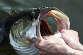 梦境的深意，梦见在河里捉到很多鱼，究竟预示着什么？