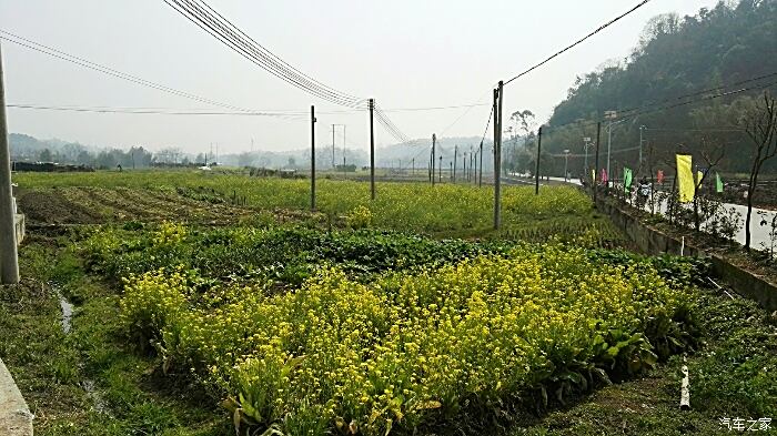 我爱连州美丽乡村自驾游之江咀村