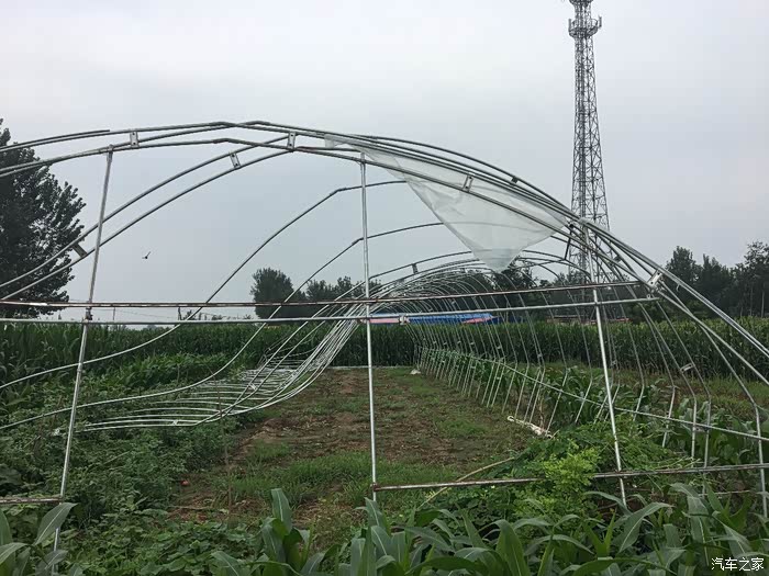 时光已逝永不回,往事只能回味,哈弗伴我生活点