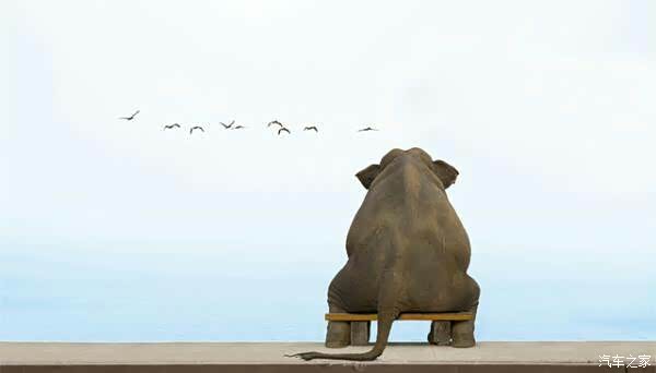 【图】从未对未来如此迷茫…