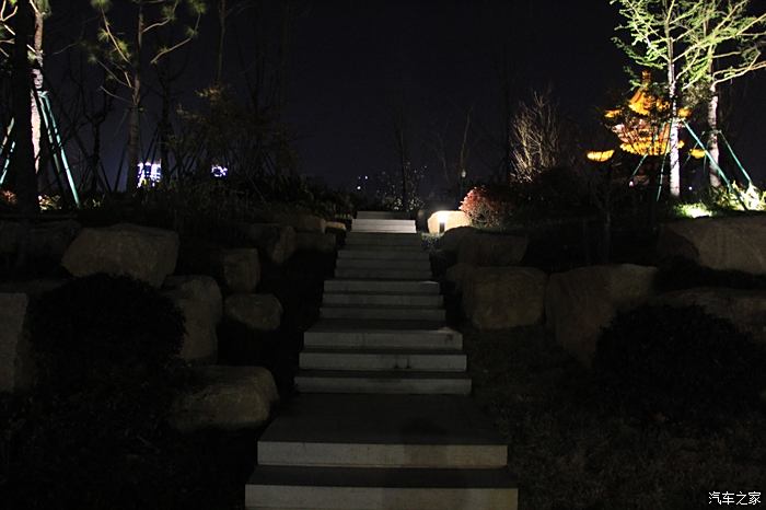 【小飞,溜达】小飞带感受夜晚的美,夜游坂湖公园
