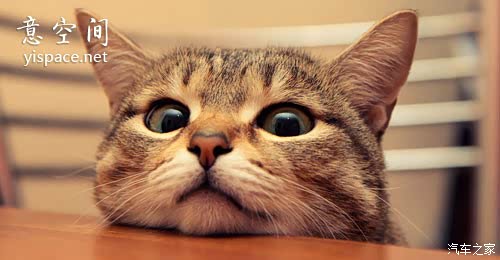 【图】二蛋,它是什么?到底是什么?其实,二蛋,就