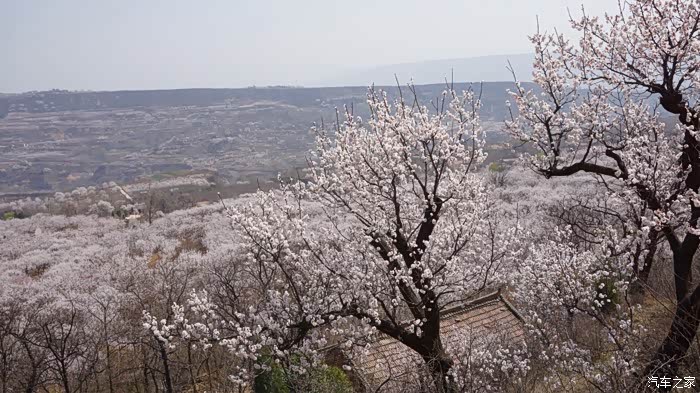 蓝田华胥上许村杏花谷一日游