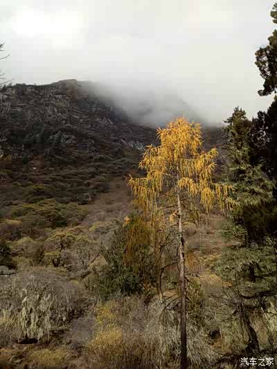 成都出发四姑娘山两日游_四川