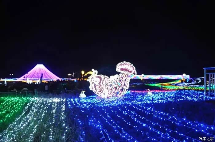 【图】北方巴厘岛熏衣草庄园的夜景彩灯--四平