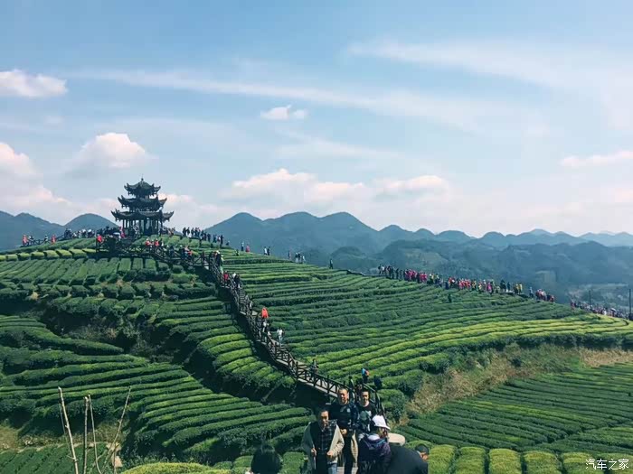 【图】浪漫宣恩茶文化之旅_东风风神A60论坛