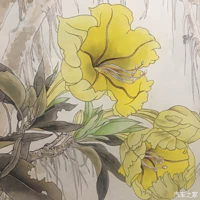 接受艺术的熏陶 感受视觉的震撼!滨州美术馆小