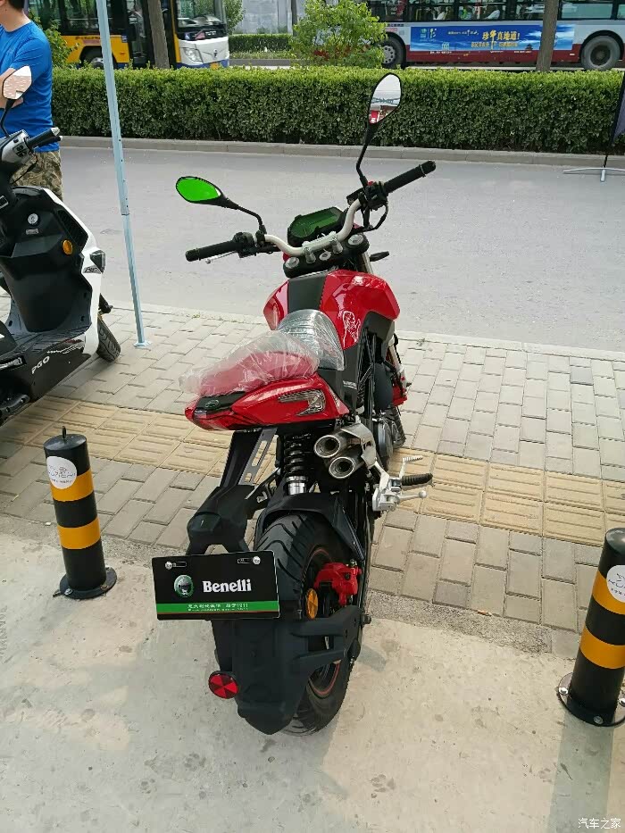 【图】贝纳利小暴龙