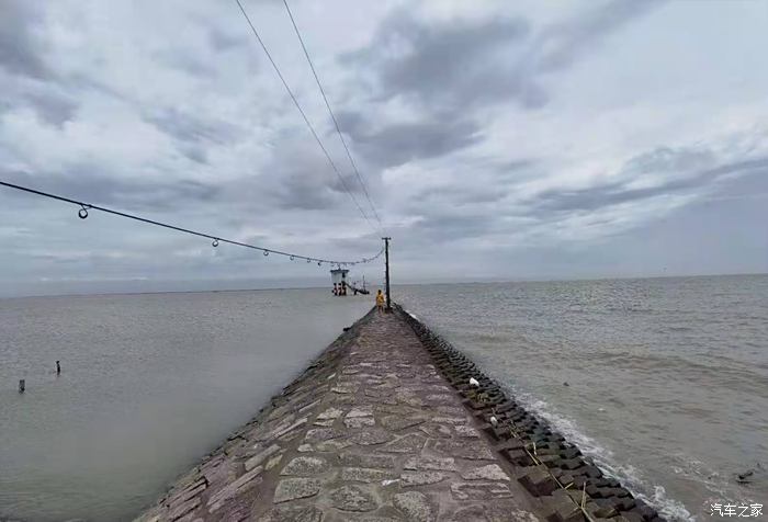 横沙岛湿地自驾游