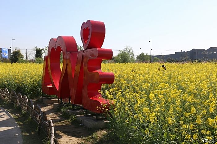 江南最美乡村之红豆村百花园