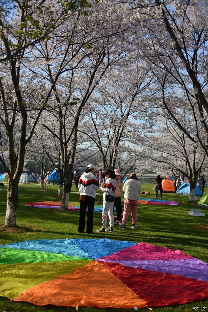 【迎暖春送积分】瓜渚湖畔赏樱花