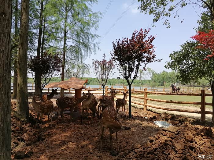 【产品质量贴】小七带萌宝打卡武汉野生动物园