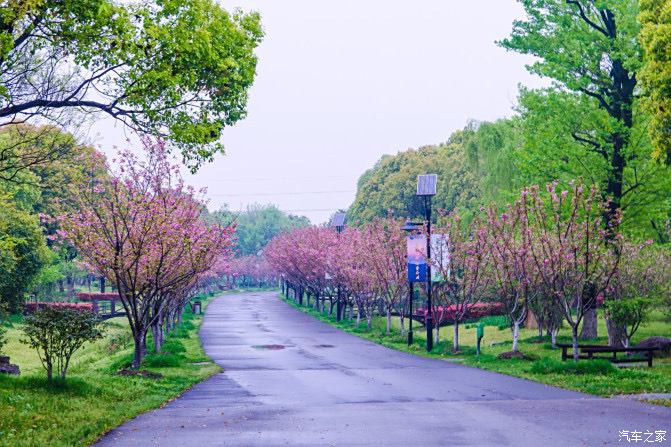 苏州中国花卉植物园