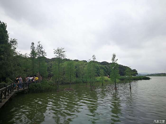 逸起游玩东莞松山湖景区