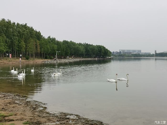 天朗气清,媳妇医院康复半个多月出院后想公园转转,就来东区龙湖公园