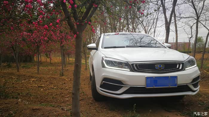 500_wKgHH1rvwoiAF8nuAAeXy-4ja-E230.jpg