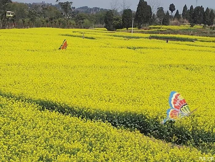 重庆荣昌区清流镇一日游