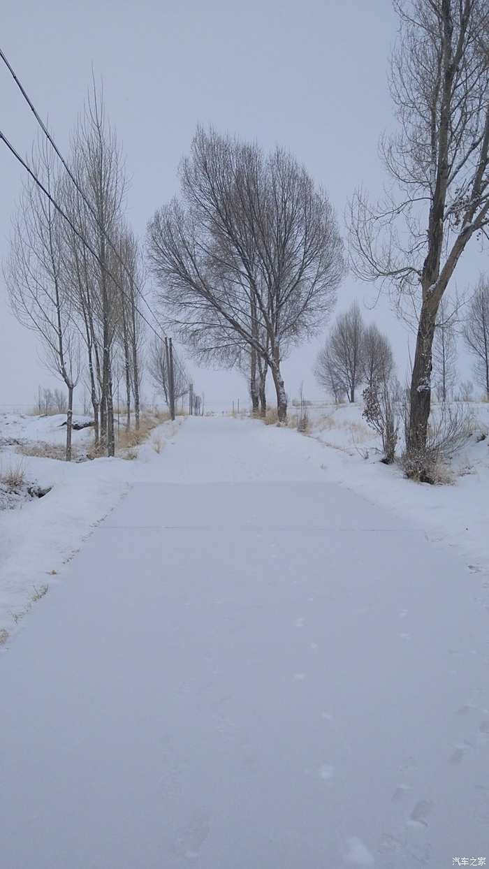 农村全是雪景