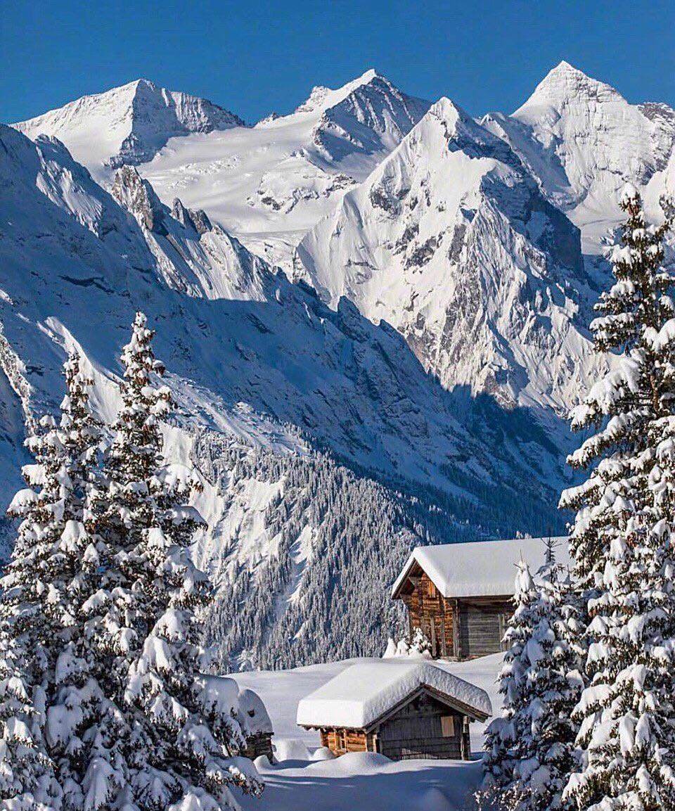 想有这样一间雪中小屋,山静日长,煮酒烹茶,读书画画