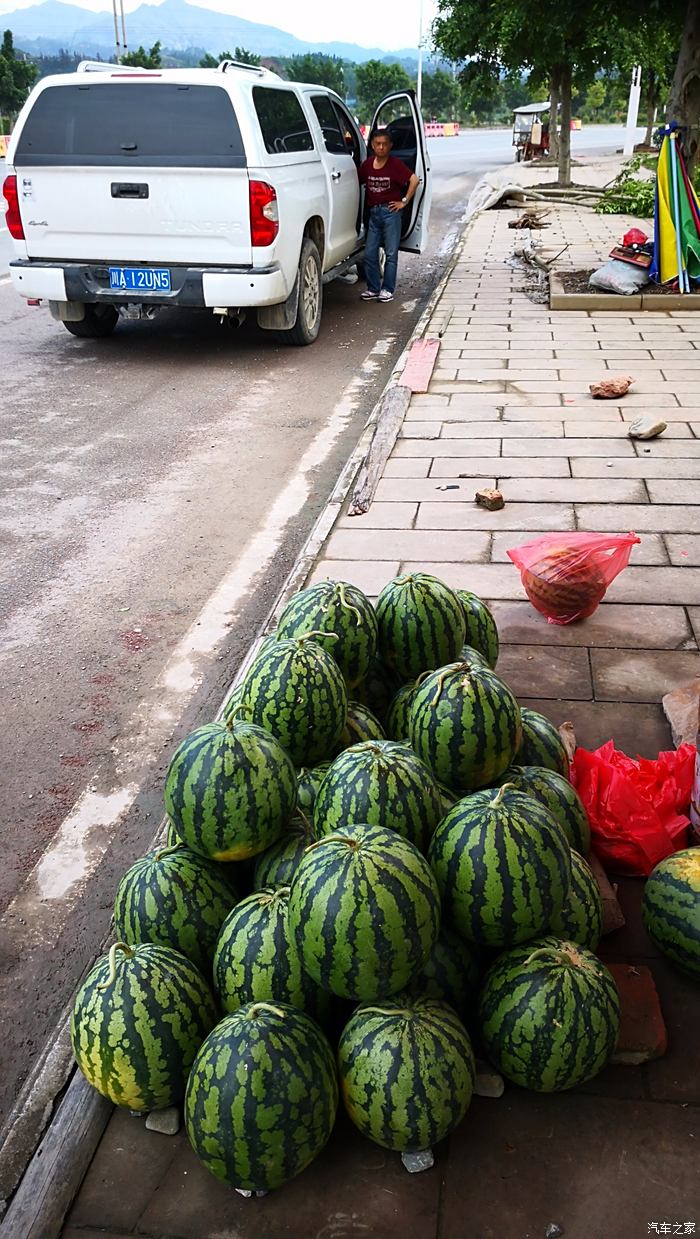 榕江西瓜 好像在当地有名气