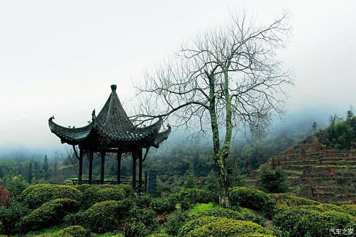 认证车主年终福利冬日黄山行看美丽的景八