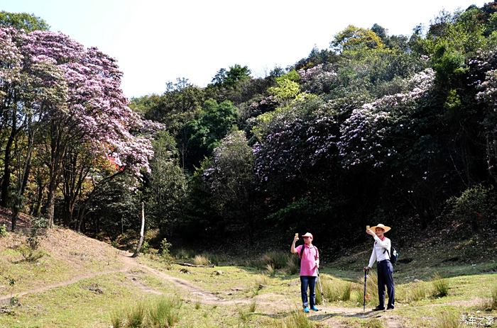 莫负春光莫负卿!510长途奔袭,征服广东罗定八排山行记.