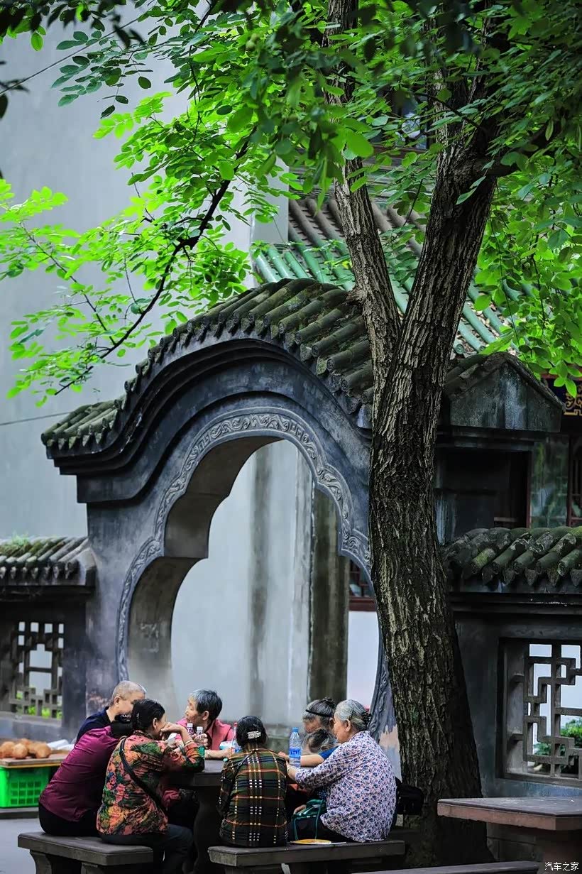 【春暖花开】少不入川,老不出蜀-成都之旅 2