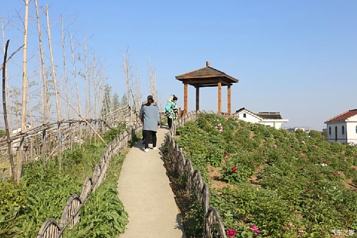 江南最美乡村之红豆村百花园