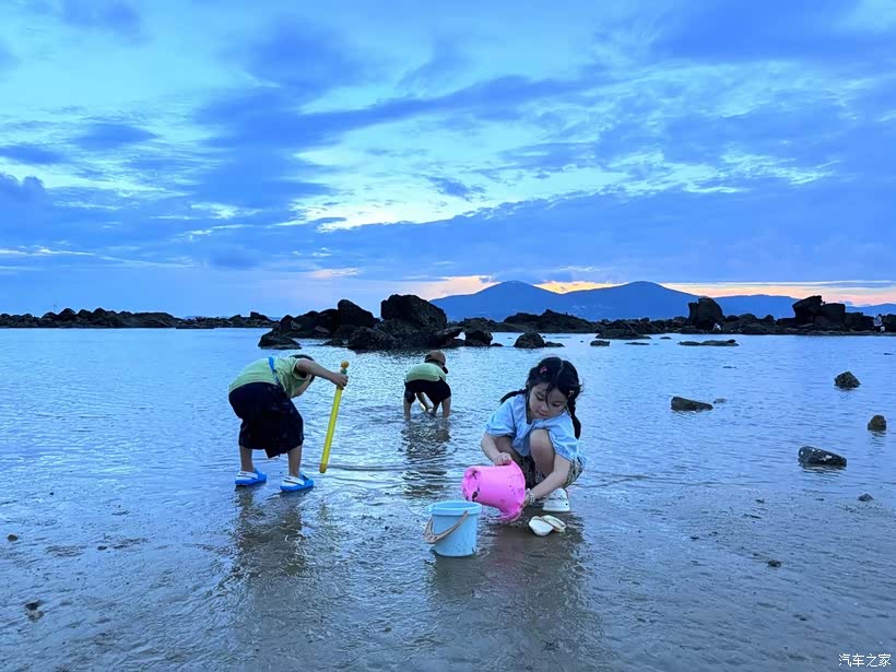 又是带逍客出门的一天，去海边赶海