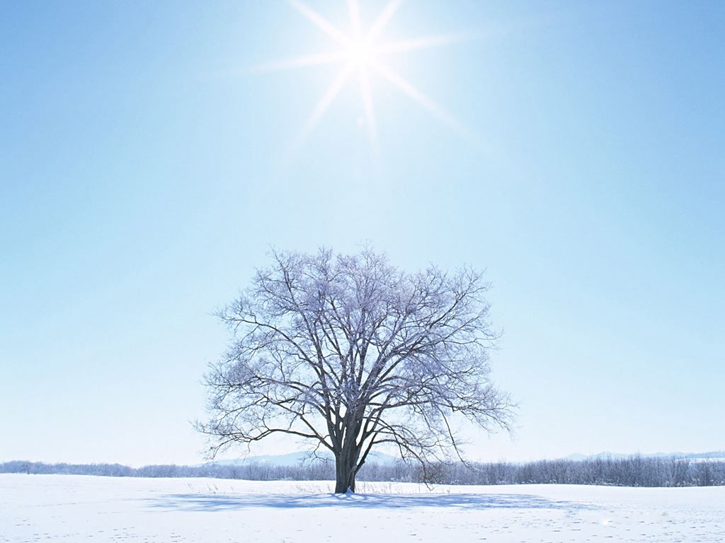 暮雪助消峭,玉尘散林塘"初雪紧紧追着金秋而来