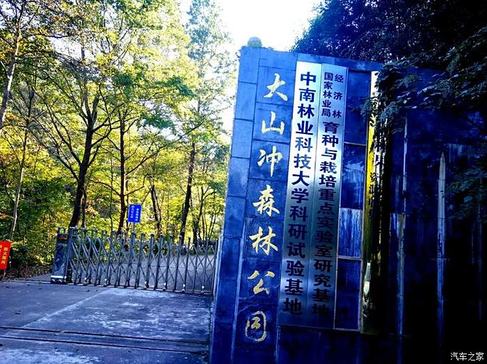 大山冲森林公园 天然氧吧