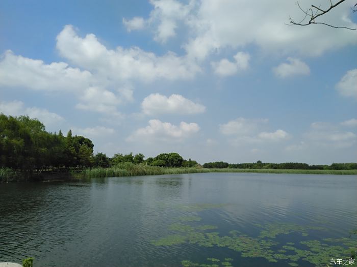 阳澄湖湿地游览