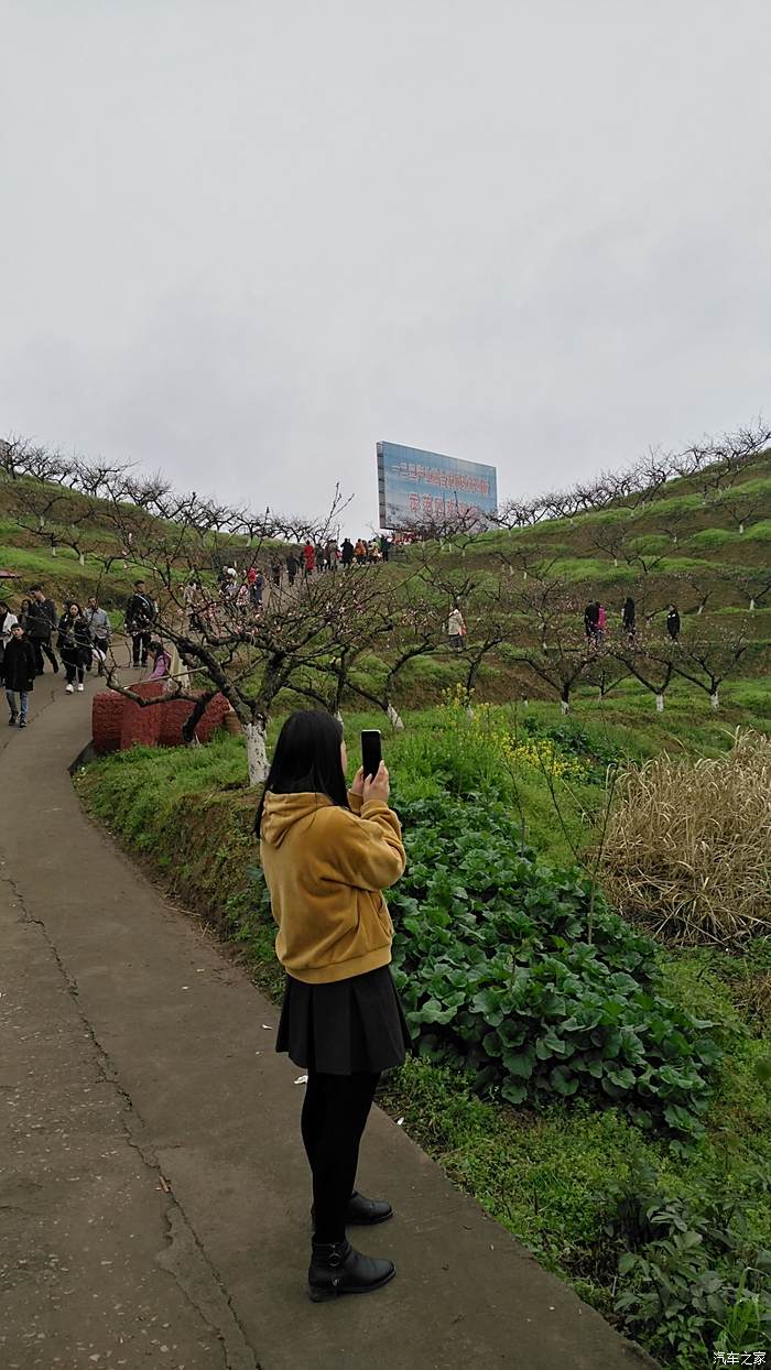 【达州幻速s3车友圈,相伴踏春月】庙坝桃花节,相约赏桃花