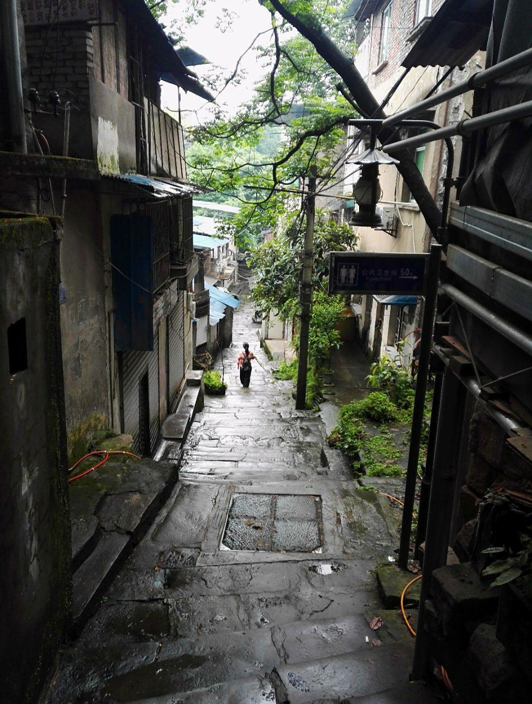 黄葛古道位于重庆市南岸区南山北面,从上新街到黄桷垭,是一条被称为"