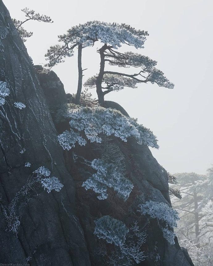 黄山雪景 黄山一夜雪,渭水雁声多!