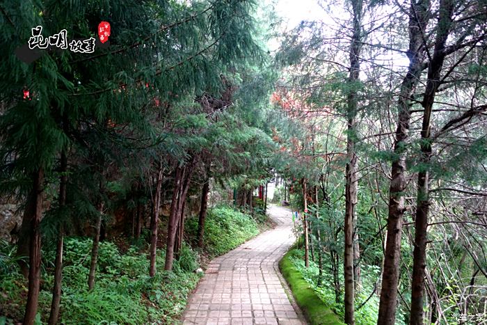 法界寺又名法界寺森林公园,比较潮湿,树木茂密.