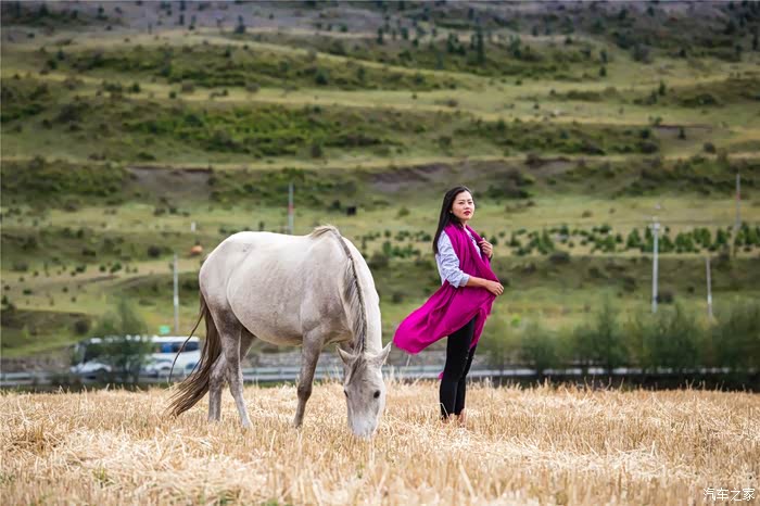 阳光彩虹小白马原创 500_ChcCP1vKirCAeG_MAAQUABagoFw096.jpg