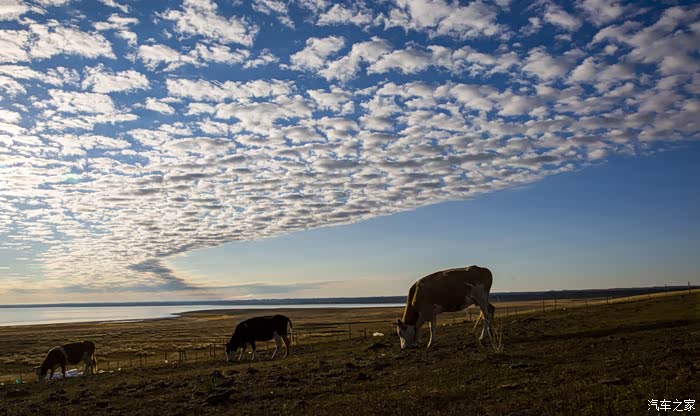 草原之旅简谱_钟丽燕草原之旅简谱