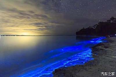 在海边,无数散发着幽蓝色光芒的浮游生物随着浪花冲在沙滩上