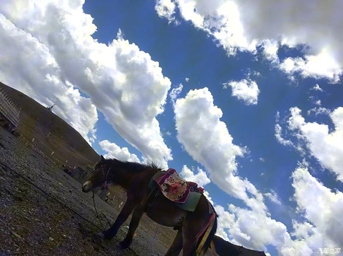 林芝海拔人口_林芝地区旅游地图(3)