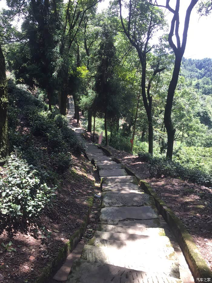 江津区西湖镇gdp_重庆市江津区西湖小学(3)