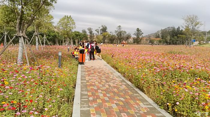 【避暑生活双节为伴】石狮花海谷公园游记【支持陕西论坛】