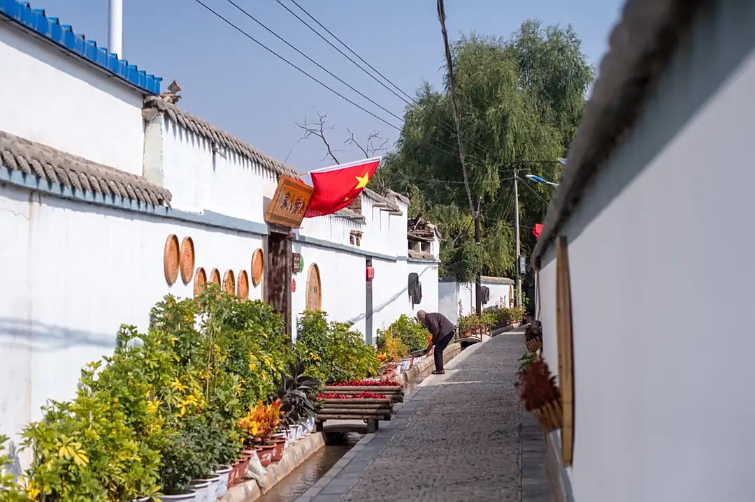 甘肃藏着一个"花村",景色可媲美江南水乡,它就是顾家善村