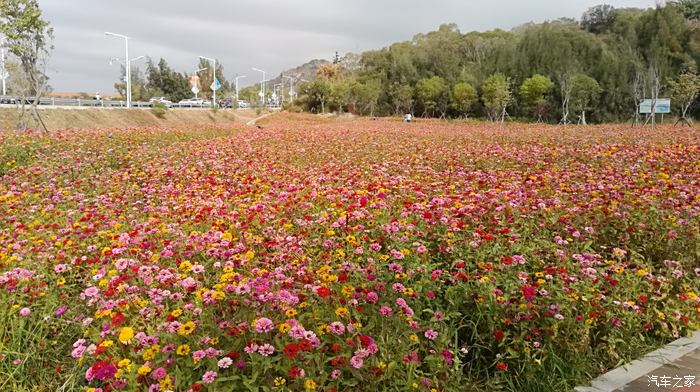 【避暑生活双节为伴】石狮花海谷公园游记【支持陕西论坛】