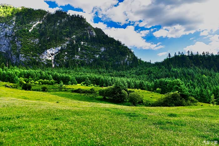大草原情歌简谱_呼伦贝尔大草原简谱(3)