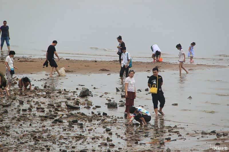 海边赶海的人还不少我也捡了些，留照回车上的途中看到刚才训练的运动员