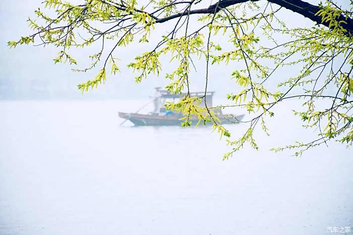 烟雨江南人安好·花红柳绿正当春