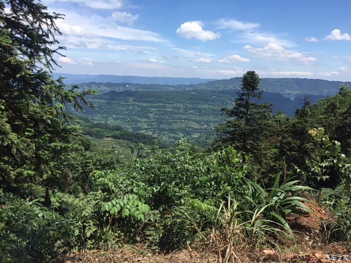 江津区西湖镇gdp_重庆市江津区西湖小学(2)